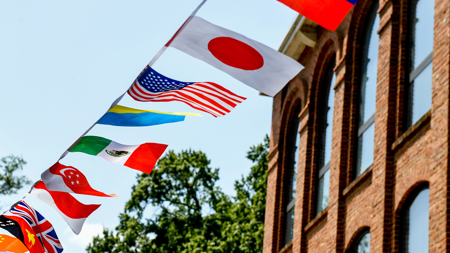 International flags fly in the Global Courtyard on main campus.